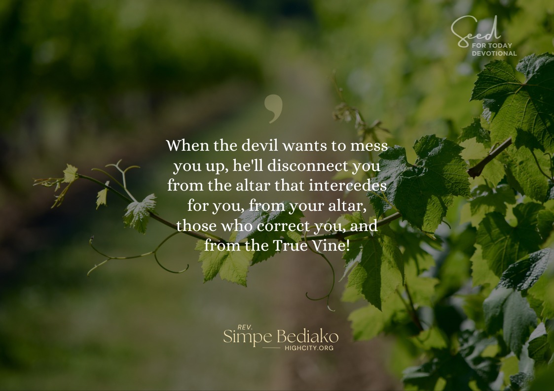 When the devil wants to mess you up … - Seed for Today When the devil wants to mess you up, he'll disconnect you from the altar, the praying priest, those who correct you, and the true vine.