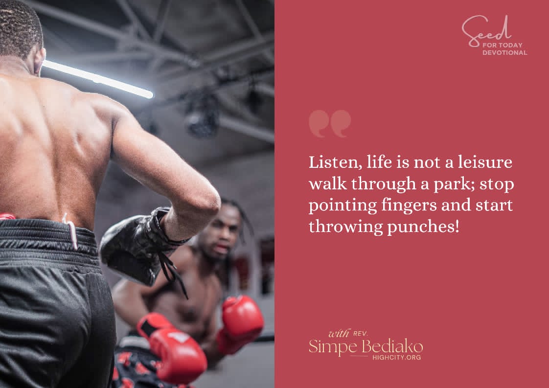 Life is not a leisure walk in a park stop pointin Life is not a leisure walk in a park, stop pointing fingers and start throwing punches!