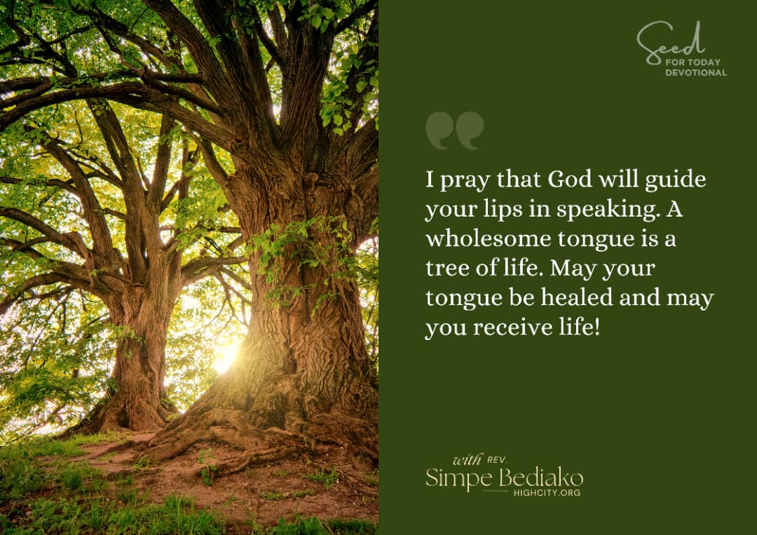 The power to change dark situations is in your mouth – Seed for Today The power to change dark situations is in your mouth - Seed for Today Daily Devotional