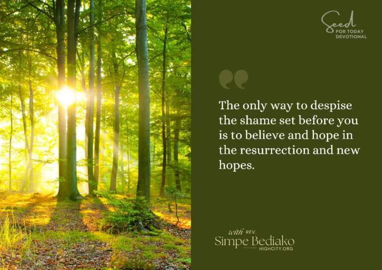 Let us make the Great commission great again!: Take the first step of Believing… - Seed for Today Daily Devotional