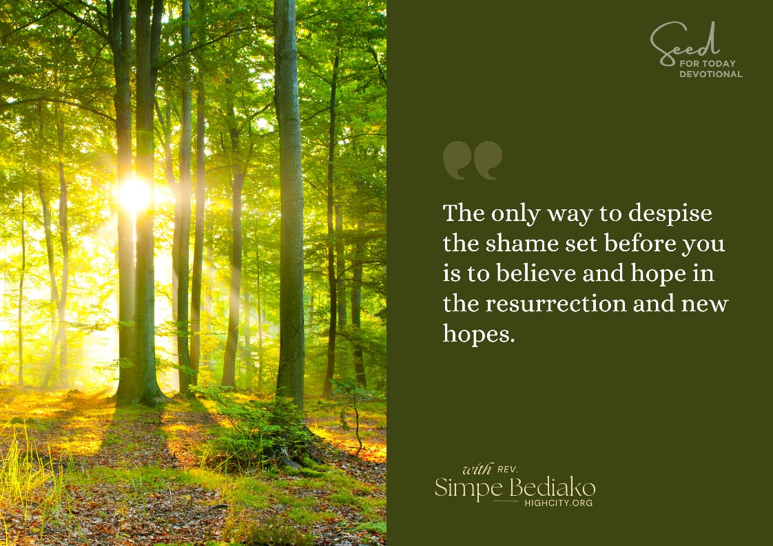 Let us make the Great commission great again!: Take the first step of Believing… – Seed for Today Lets make the great commission great again Let us make the Great commission great again!: Take the first step of Believing…