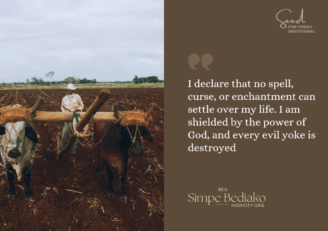 Day 1 – No Enchantment Shall Stand – Seed for Today Day 1 – No Enchantment Shall Stand Day 1 – No Enchantment Shall Stand