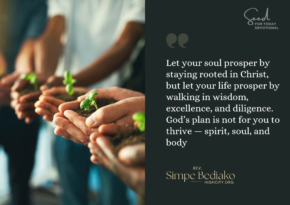 Prosper in all things by developing your God-given potential – Seed for Today Prosper in all things by developing your God given Prosper in all things by developing your God-given potential