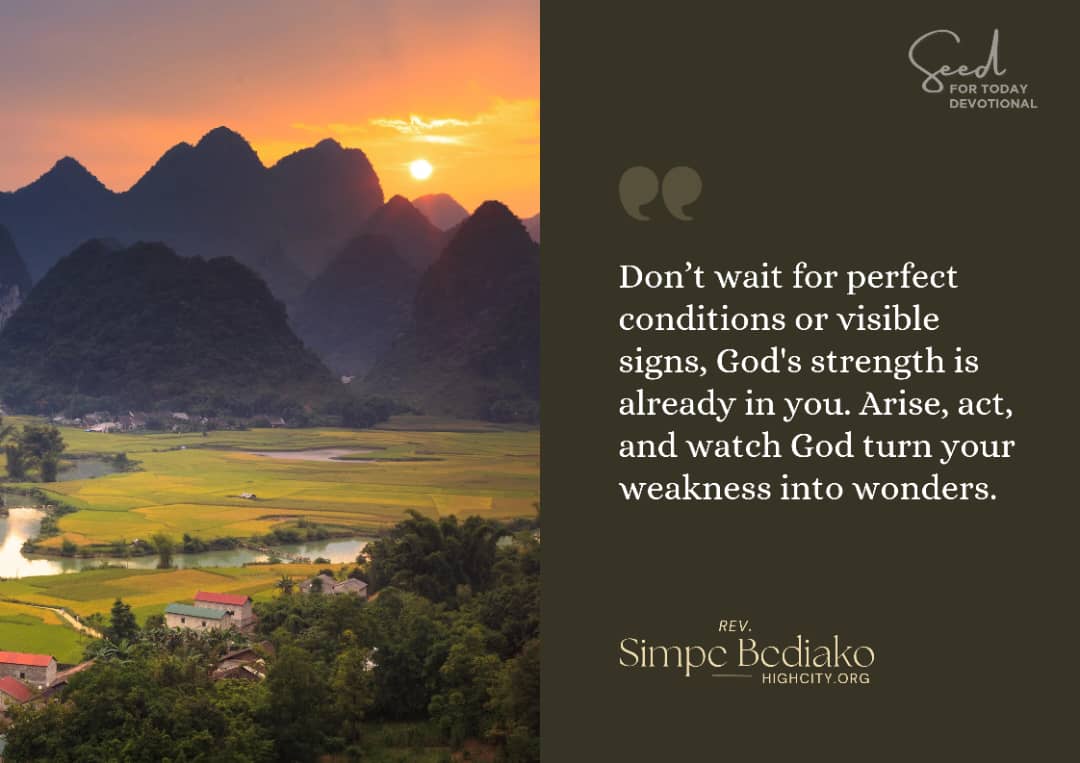 Arise, act, and watch God turn your weakness into wonders! - Seed for Today Daily Devotional