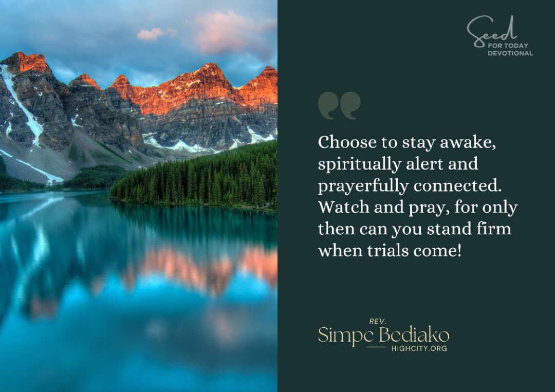 Pray or you become the prey – Seed for Today Pray or you become the prey Pray or you become the prey