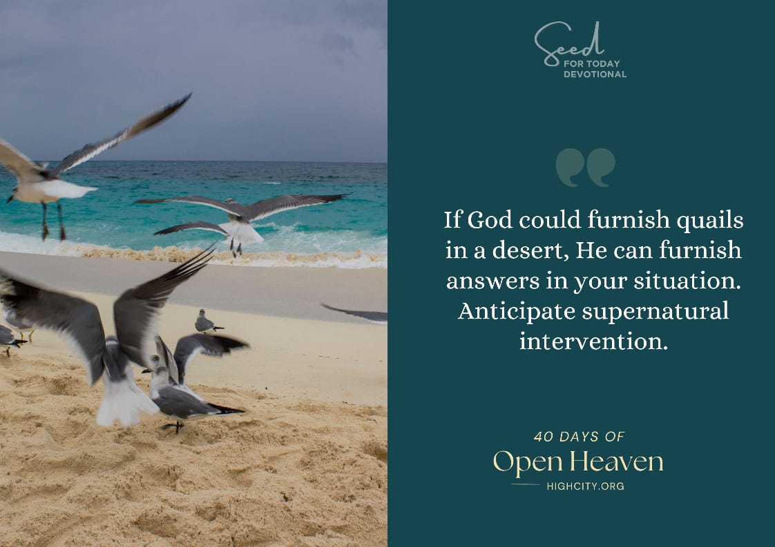Call on God! Who surpasses expectations – Seed for Today Call on God Who surpasses Call on God! Who surpasses expectations