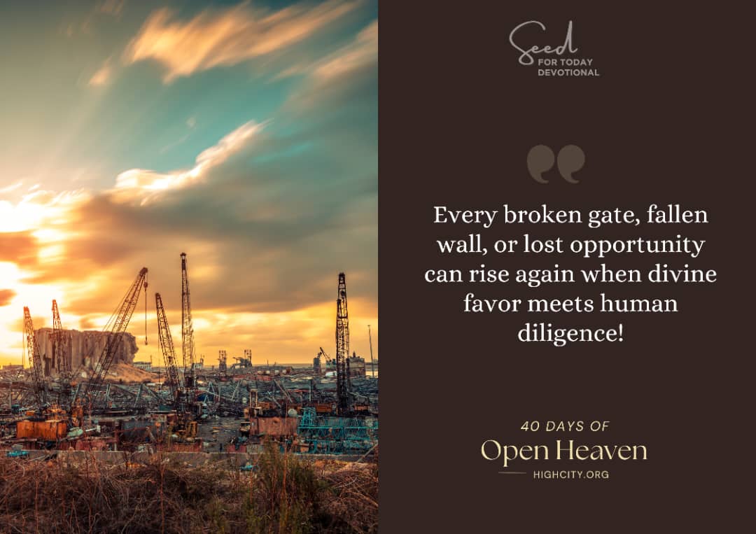 Choose to Rebuild! – Seed for Today Choose to Rebuild! - Seed for Today Daily Devotional
