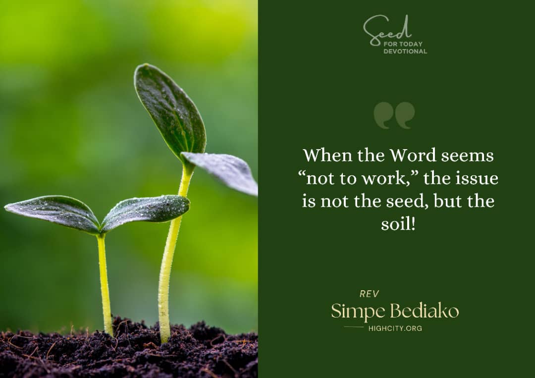 Reasons Why the Word doesn't Work on Many Lives – Seed for Today Reasons Why the Word doesnt Work on Many Lives Reasons Why the Word doesn't Work on Many Lives