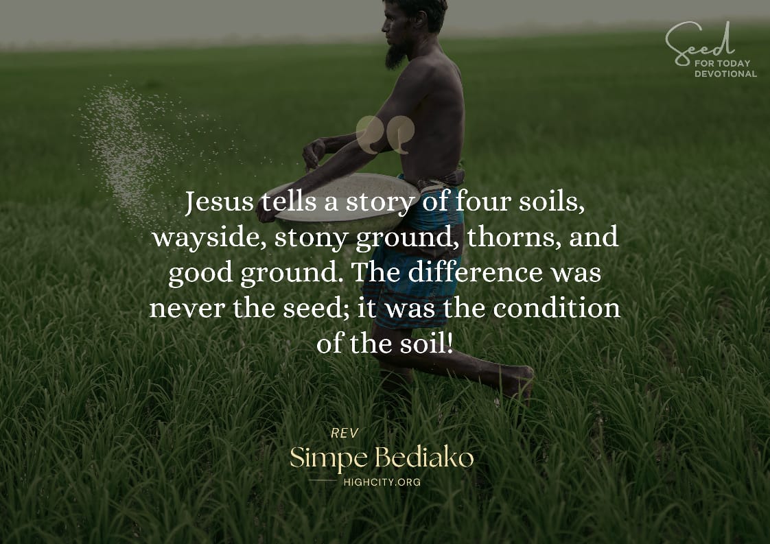 Parable of the sower – Seed for Today Parable of the sower - Seed for Today Daily Devotional