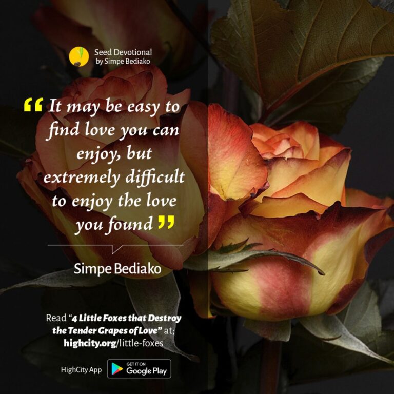 4 Little Foxes that Destroy the Tender Grapes of Love - Seed for Today Daily Devotional