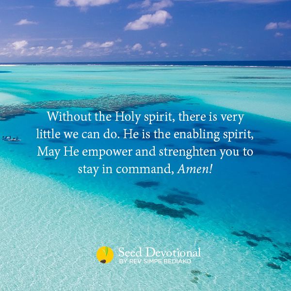 Be Yielded to the Working of the Holy Spirit in You – Seed for Today Be Yielded to the Working of the Holy Spirit in You