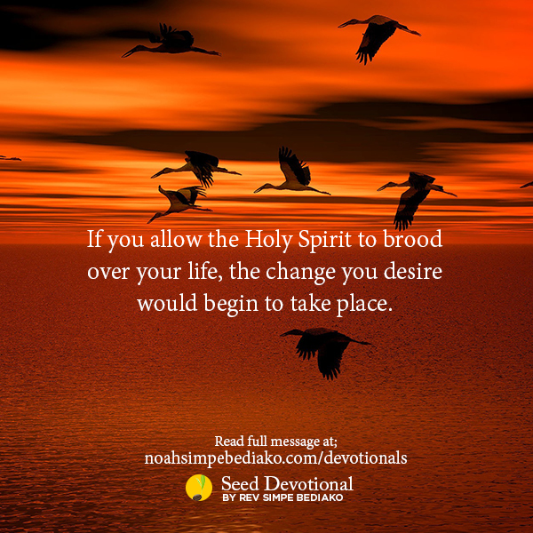 3 Things That Can Transform Your Life - Seed for Today 3 Things that Can Transform Your Life