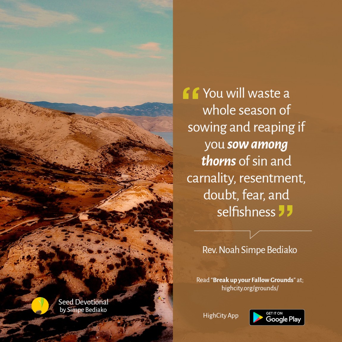 Break up your Fallow Grounds – Seed for Today Break up your Fallow Grounds