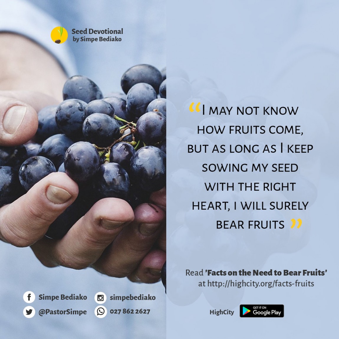 Facts on the Need to Bear Fruits – Seed for Today Facts on the Need to Bear Fruits