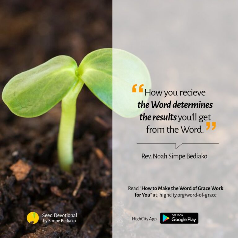 How to Make the Word of Grace Work for You - Seed for Today Daily Devotional