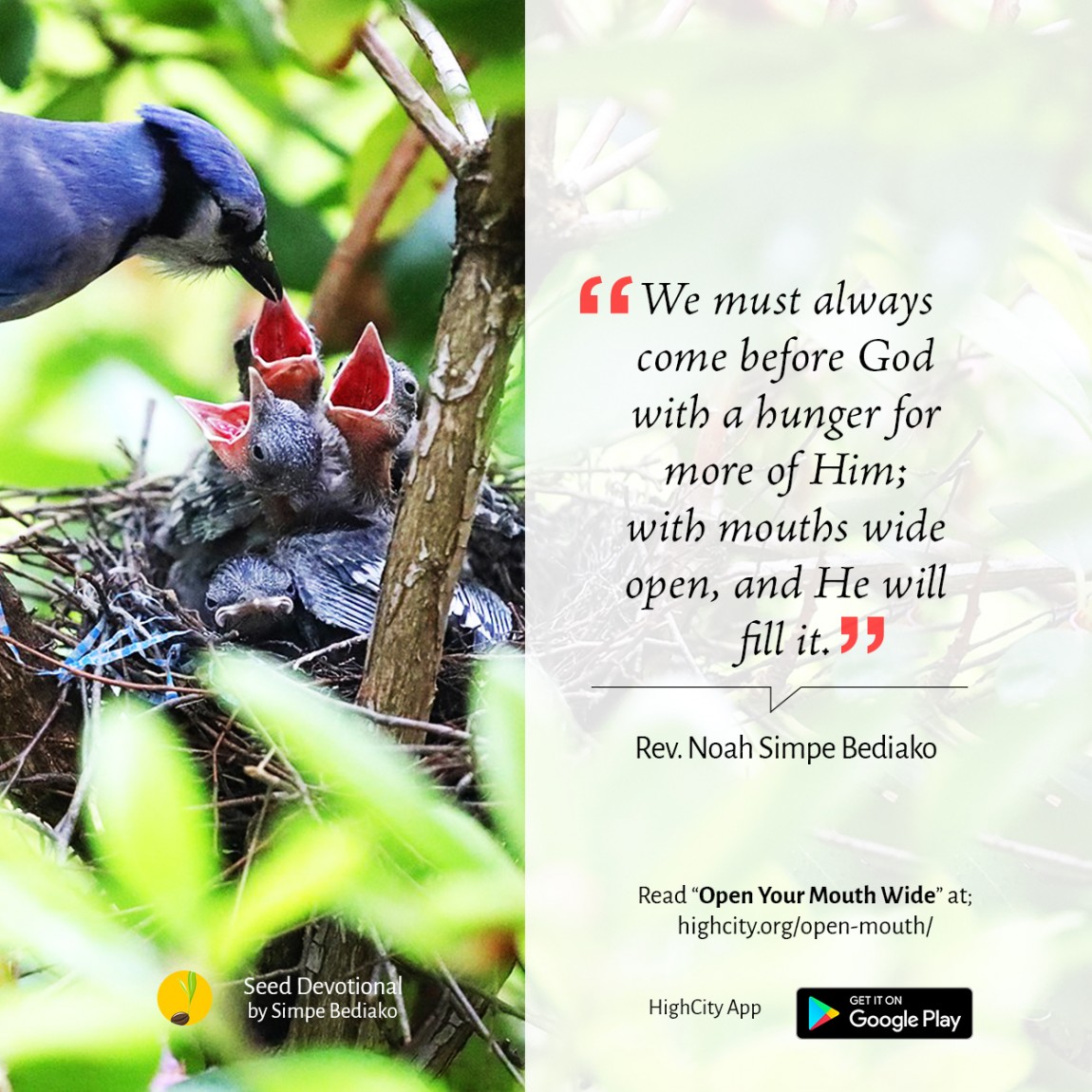 Open Your Mouth Wide - Seed for Today Daily Devotional