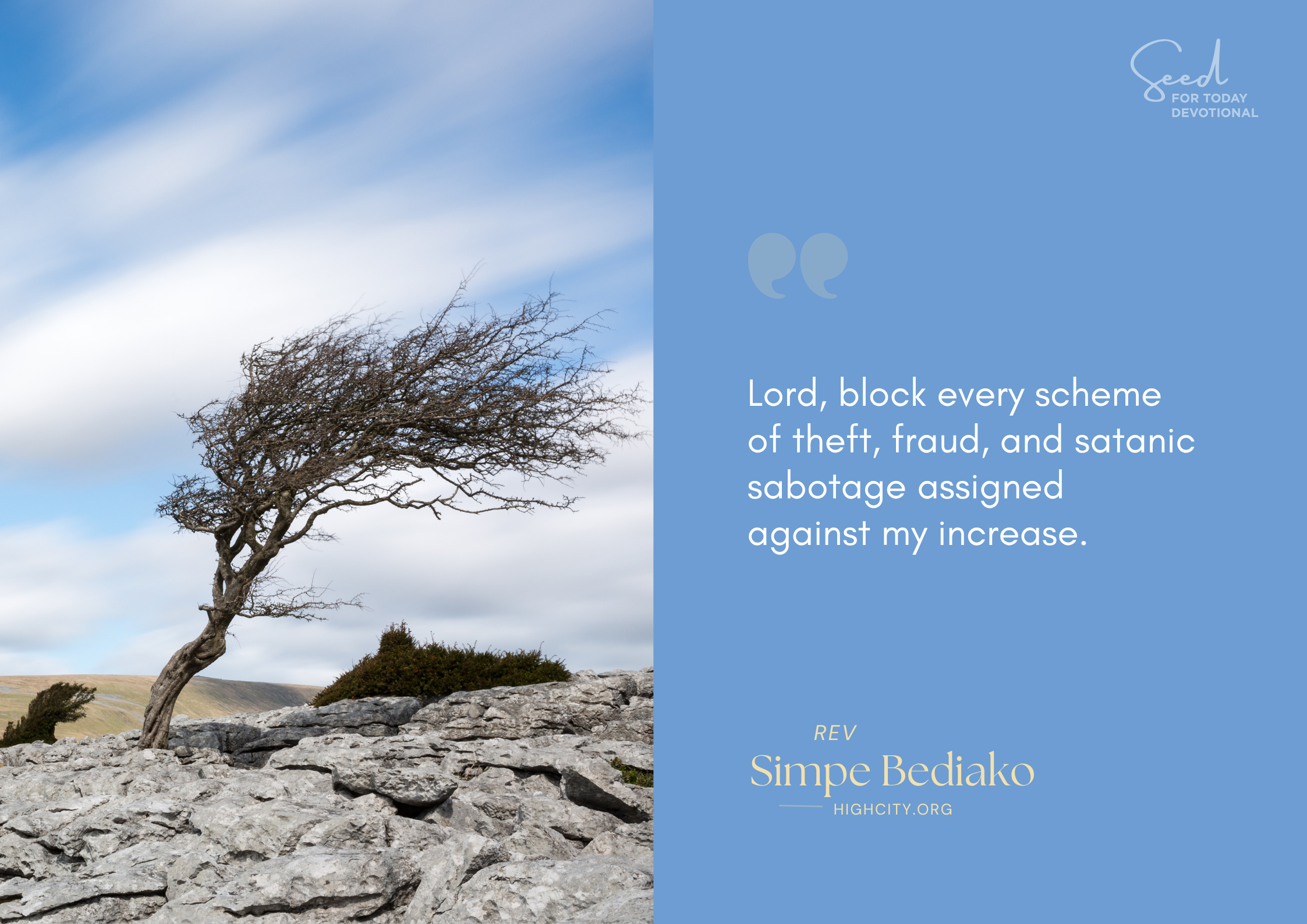 Pray that God Will Set a Hedge of Protection around Your Business and Finances – Seed for Today Pray that God Will Set a Hedge of Protection aroun Pray that God Will Set a Hedge of Protection around Your Business and Finances