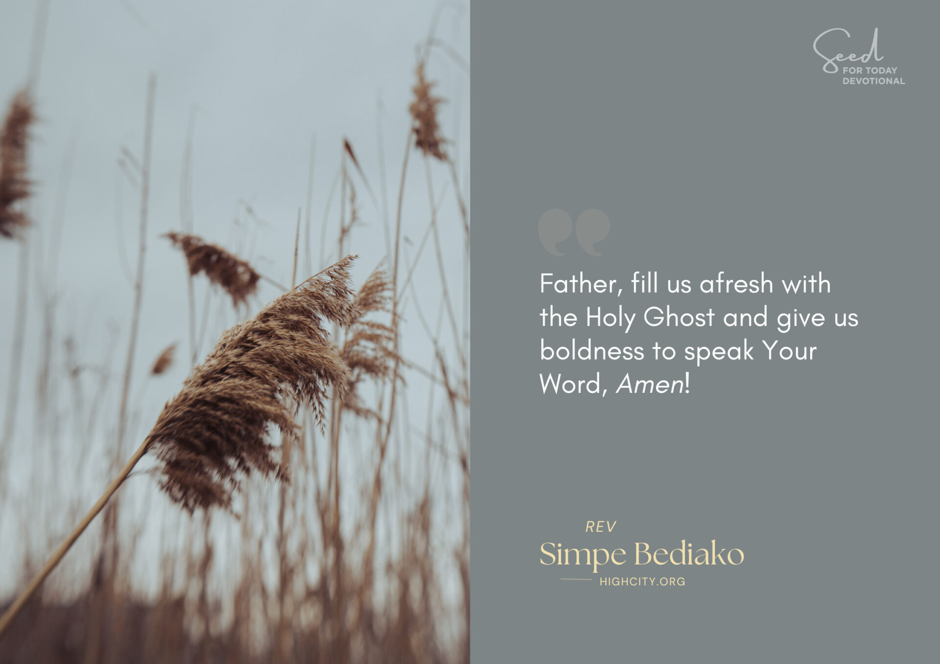 Pray that the Lord Will Stir the Church to Walk in the Supernatural – Seed for Today Pray that the Lord Will Stir the Church to Walk in the Supernatural