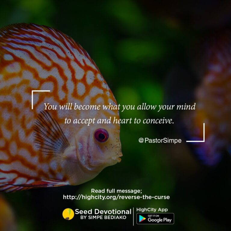 Reverse the Curse in Your Mind - Seed for Today Daily Devotional