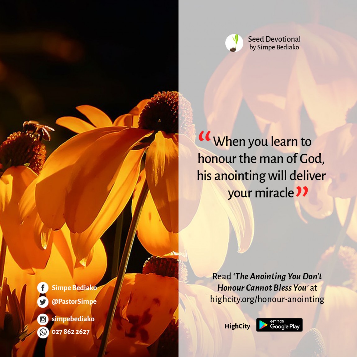 The Anointing You Don't Honour Cannot Bless You – Seed for Today The Anointing You Don't Honour Cannot Bless You