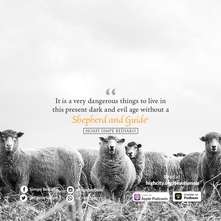 There is Nothing as Pathetic as Having no Shepherd