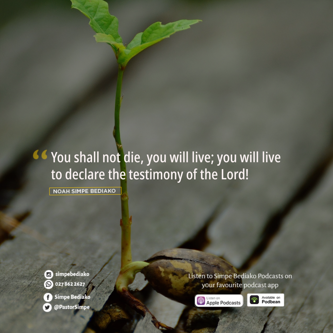 You Shall Not Die! – Seed for Today We Shall not Die 4 You Shall Not Die!