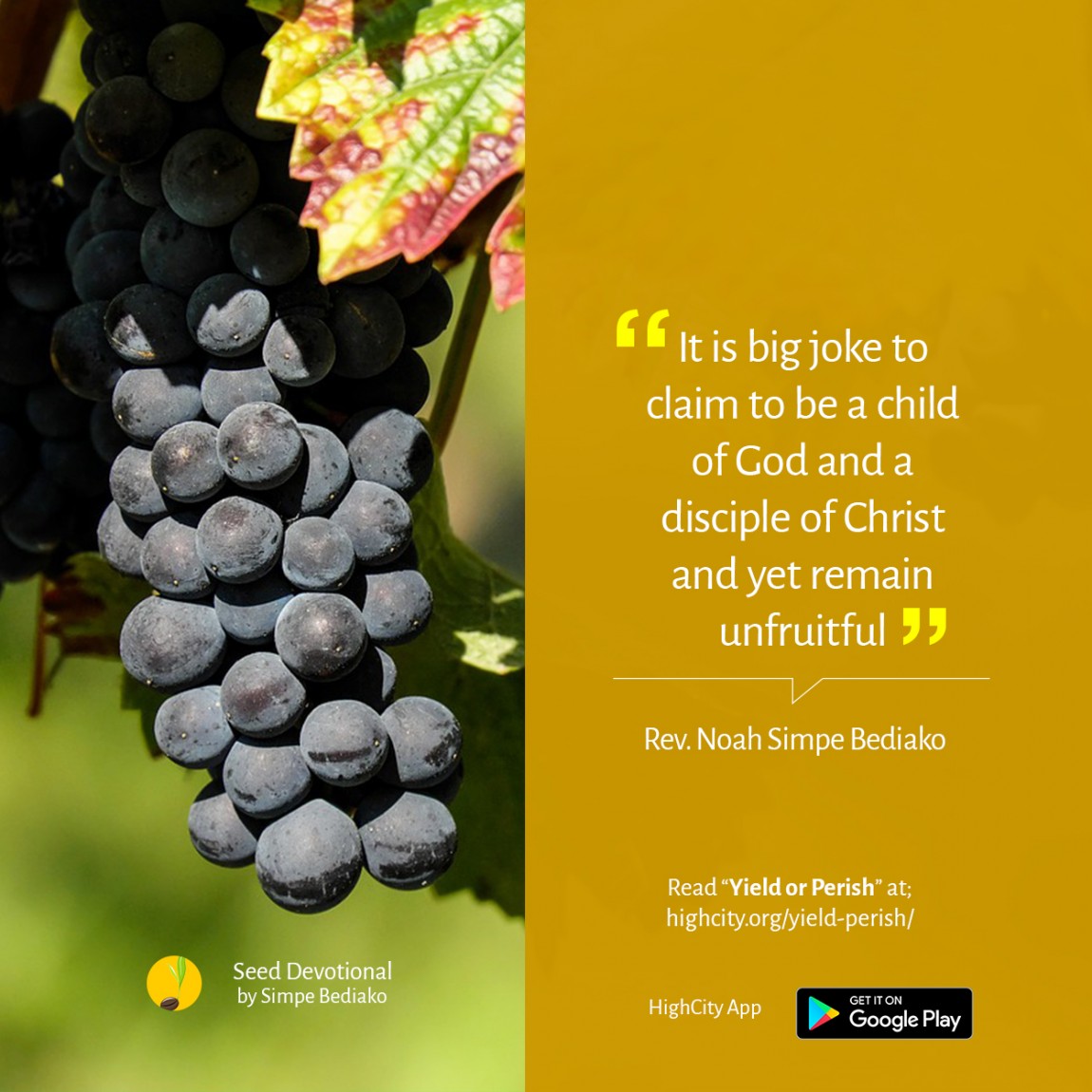 Yield or Perish! – Seed for Today Yield or Perish