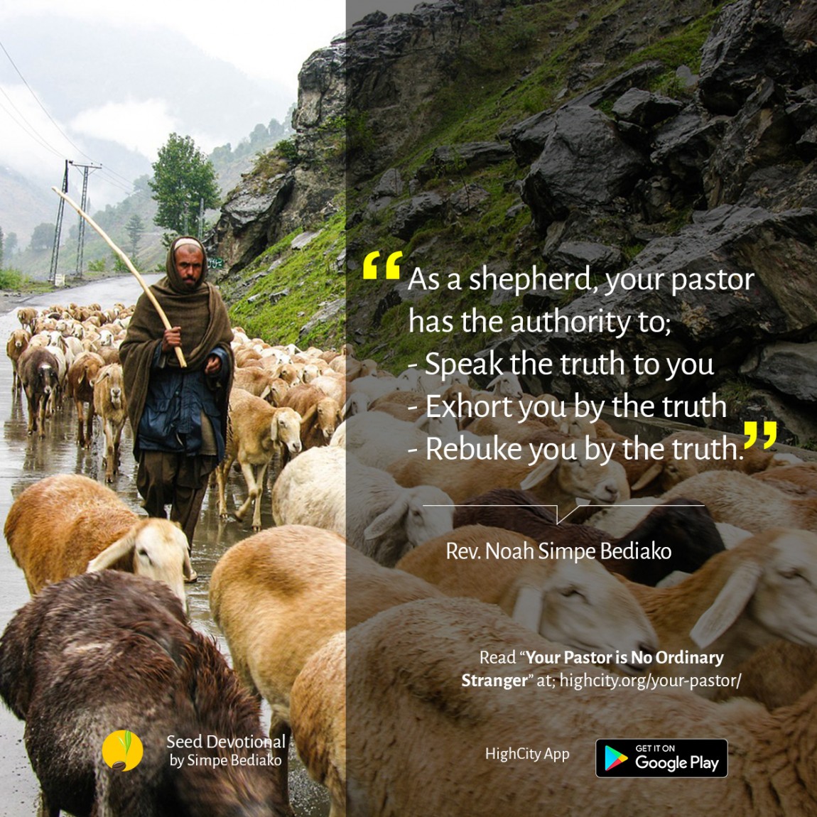 Your Pastor is No Ordinary Stranger - Seed for Today Daily Devotional