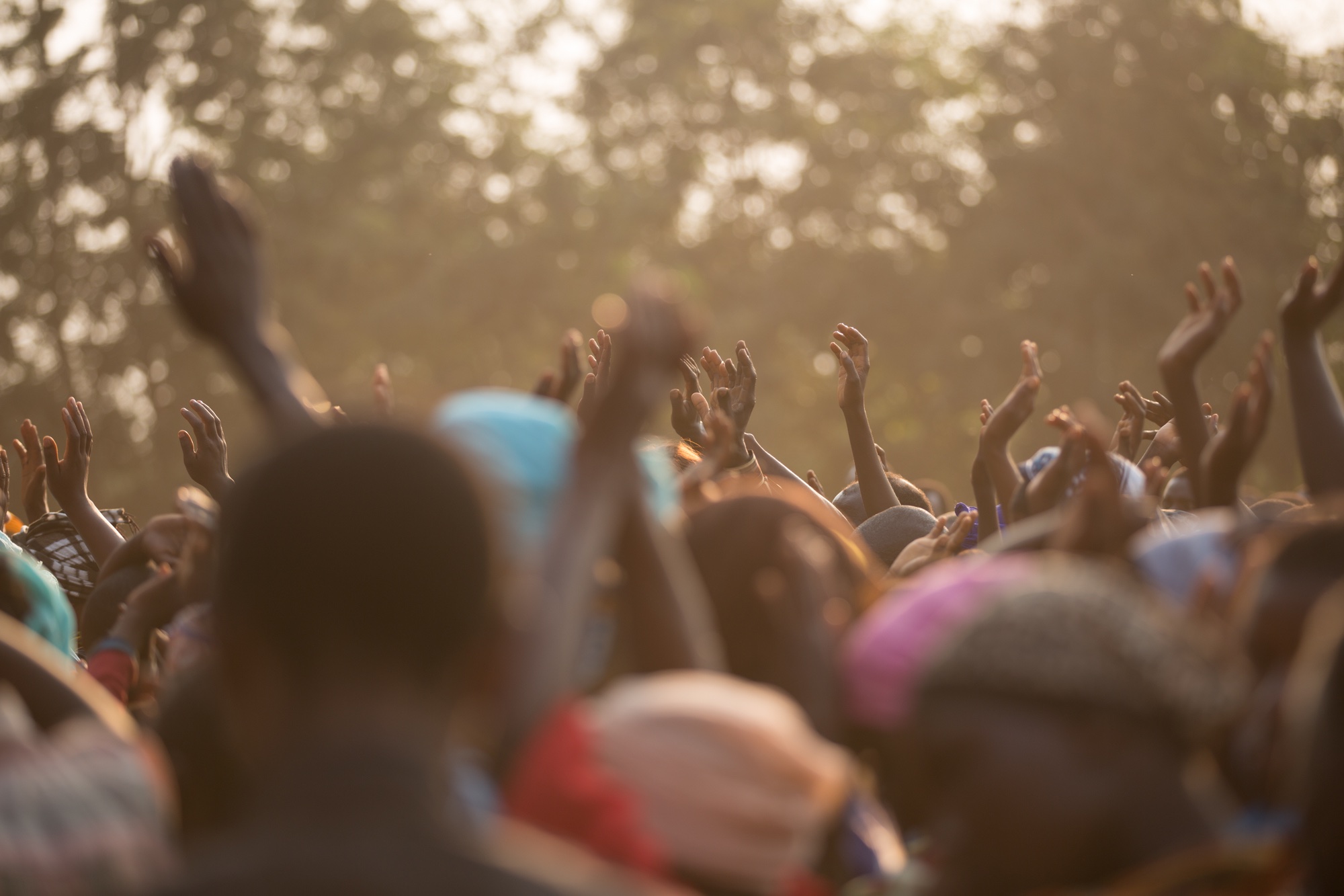 The Mandate – Seed for Today The Mandate