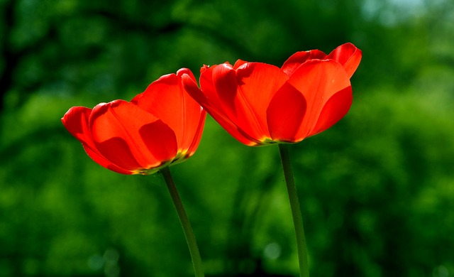 Maintaining Your Christlikeness - Seed for Today Daily Devotional