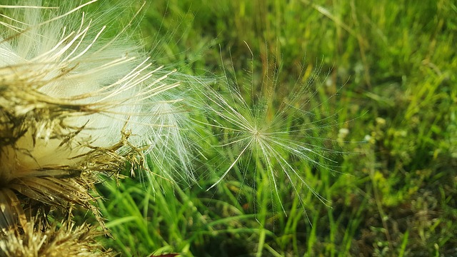 Break up Your Fallow Ground! - Seed for Today Daily Devotional