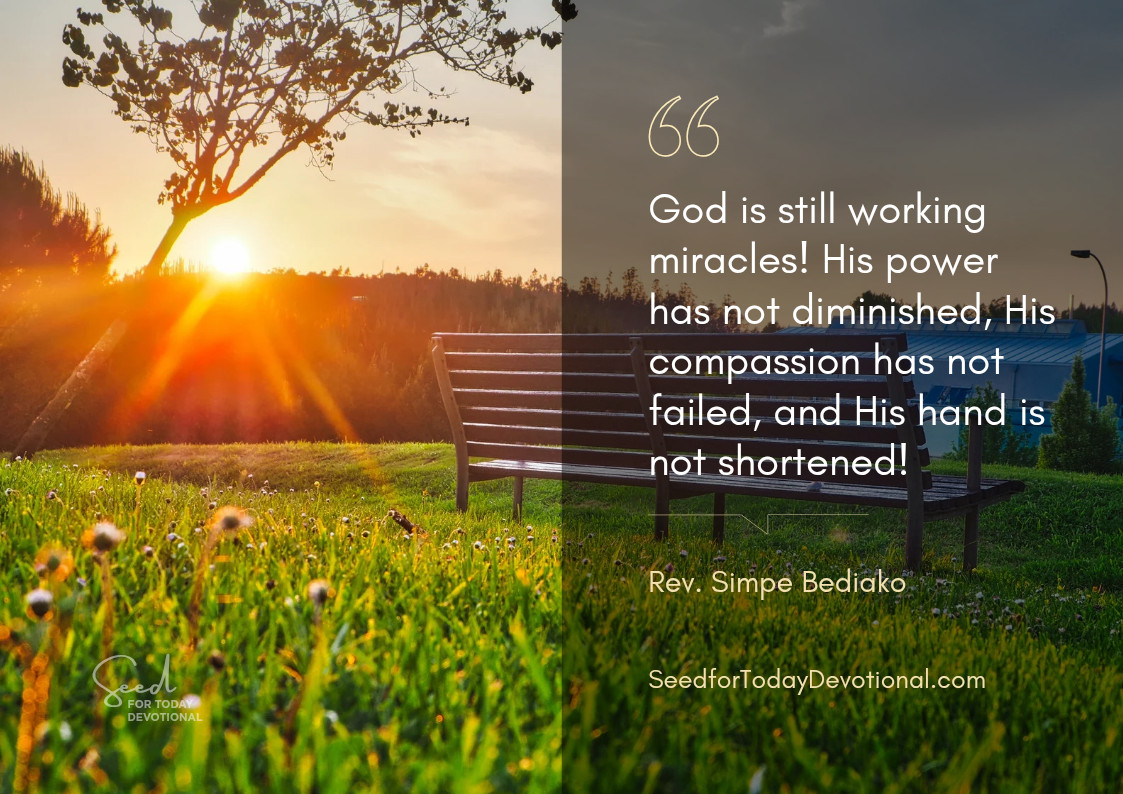 The Miracle Days Are Here With Us! – Seed for Today Seed for Today The Miracle Days Are Here With Us The Miracle Days Are Here With Us!